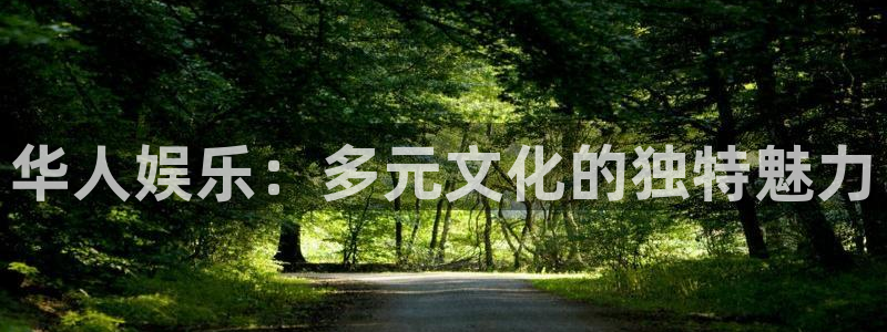 天富平台4平台：华人娱乐：多元文化的独特魅力