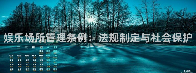 天富平台网页版：娱乐场所管理条例：法规制定与社会保护