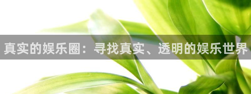 天富平台app最新版：真实的娱乐圈：寻找真实、透明的娱乐世界