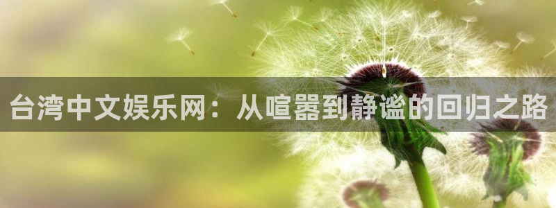 天富平台体育在线注册：台湾中文娱乐网：从喧嚣到静谧的回归之路