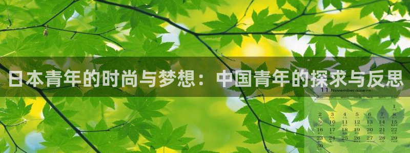 天富平台登录界面入口：日本青年的时尚与梦想：中国青年的探求与反思