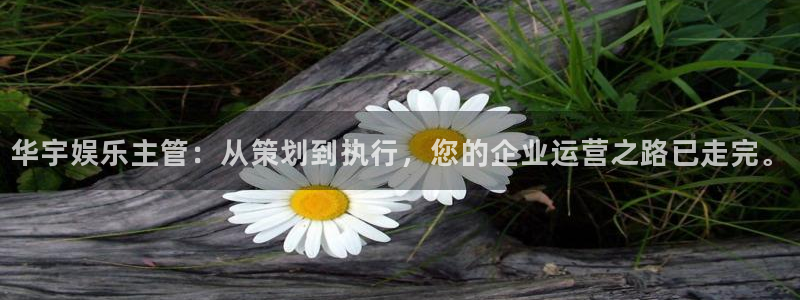 天富平台4：华宇娱乐主管：从策划到执行，您的企业运营之路已走完。