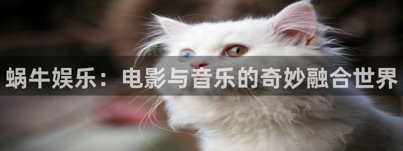 天富平台.ccmpc正版：蜗牛娱乐：电影与音乐的奇妙融合世界