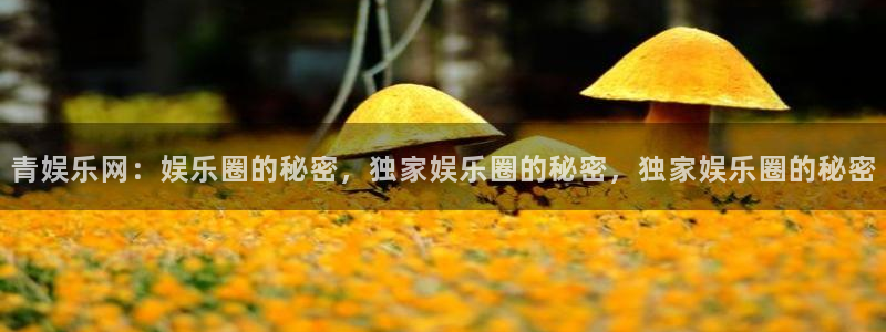 天富平台.ccmpc正版：青娱乐网：娱乐圈的秘密，独家娱乐圈的秘密，独家娱乐圈的