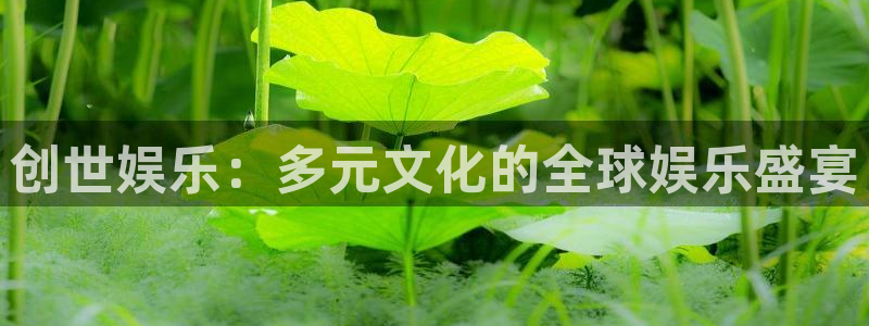 天富平台平台开户链接：创世娱乐：多元文化的全球娱乐盛宴