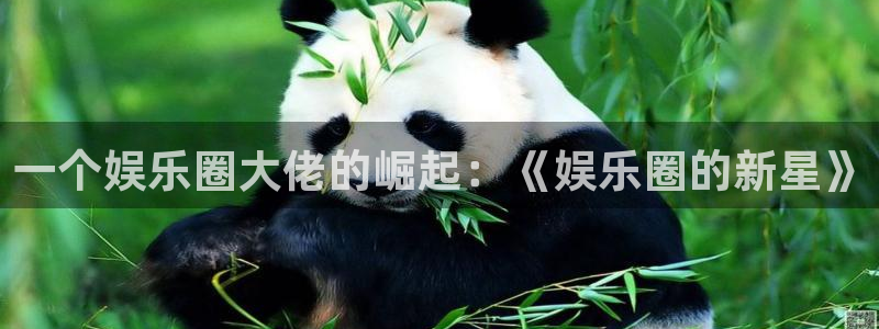 天富平台.ccm：一个娱乐圈大佬的崛起：《娱乐圈的新星》
