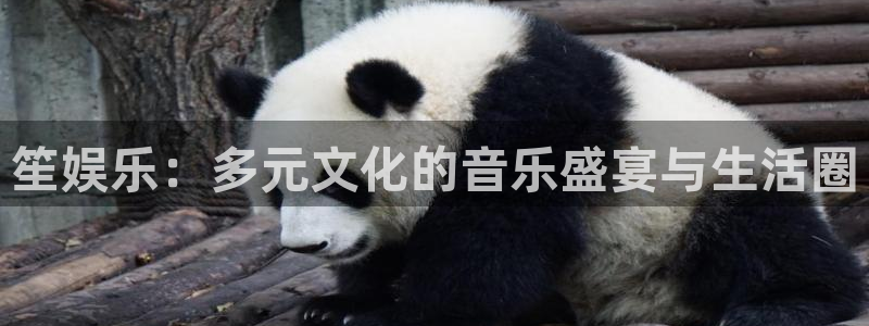 天富平台f凯捷平台在线注册：笙娱乐：多元文化的音乐盛宴与生活圈