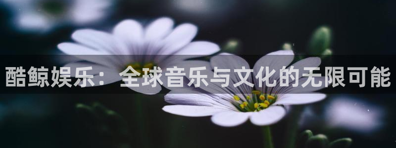 天富平台体育3：酷鲸娱乐：全球音乐与文化的无限可能