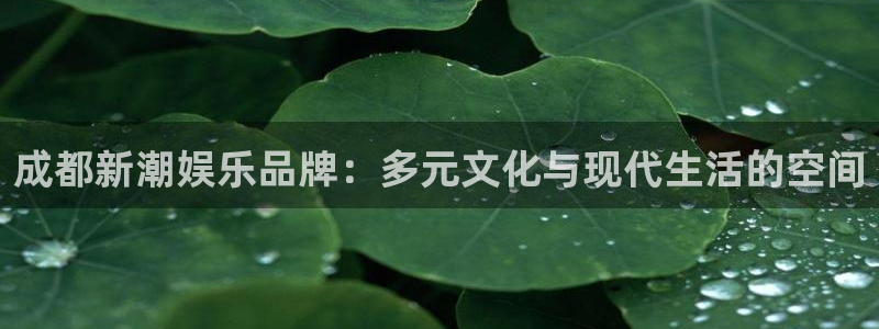 天富平台ccm赏金女王：成都新潮娱乐品牌：多元文化与现代生活的空间