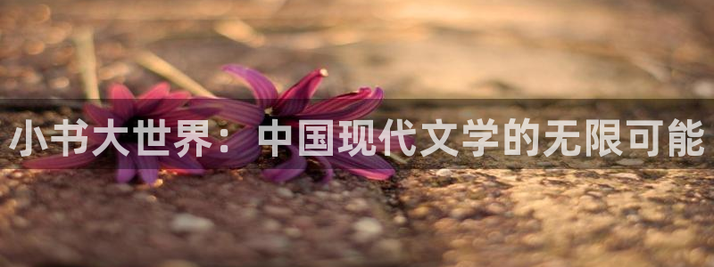 天富平台账号注册：小书大世界：中国现代文学的无限可能