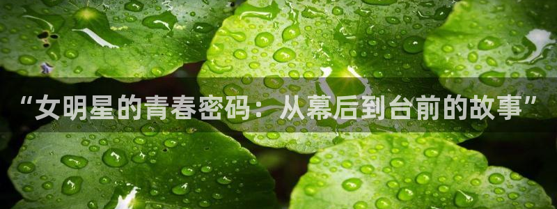天富平台2登录入口：“女明星的青春密码：从幕后到台前的故事”
