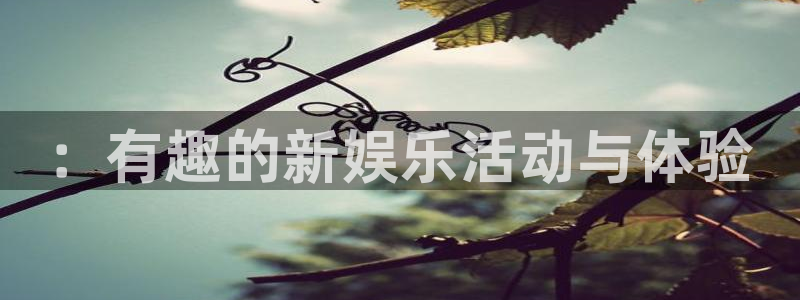 天富平台平台总代理：：有趣的新娱乐活动与体验