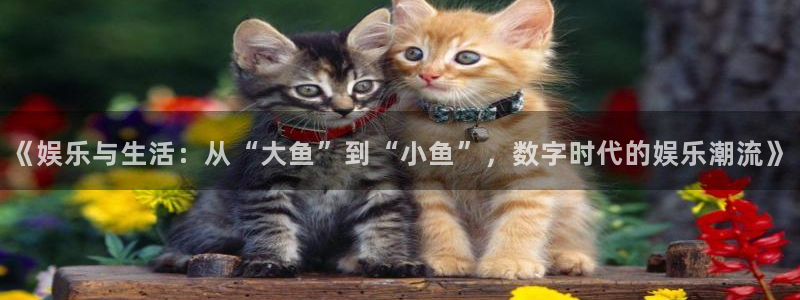 天富平台那个爆率高